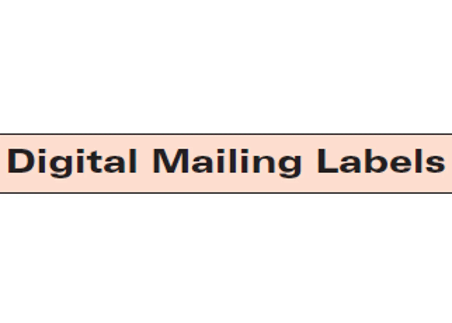 2025 New York Digital Mailing Labels (NY25ML)